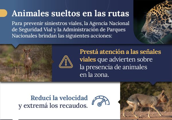 Animales sueltos en las rutas