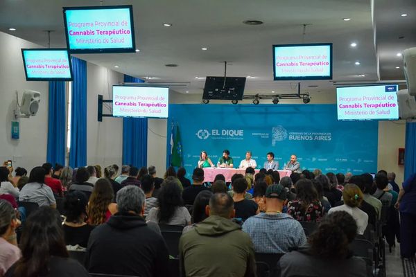 Programa Provincial de Cannabis Terapéutico