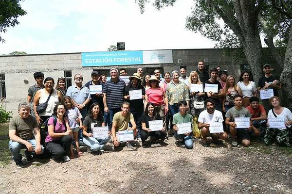 Programa «Mi Primera Colmena»