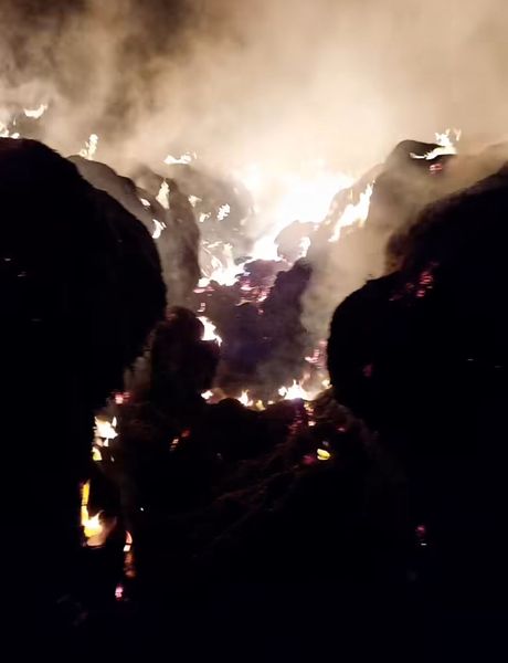 Incendio en campos de la Ruta 228
