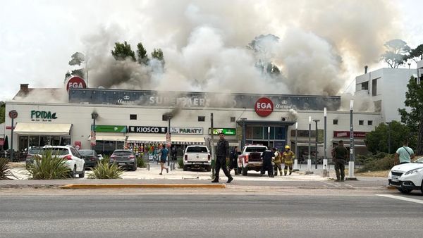 Devastador incendio en Pinamar