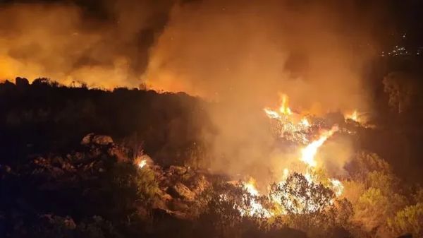 Incendio forestal en Tandil