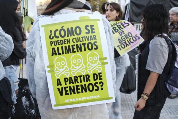 El Futuro de la Agricultura: ¿Agroecología o Pesticidas?