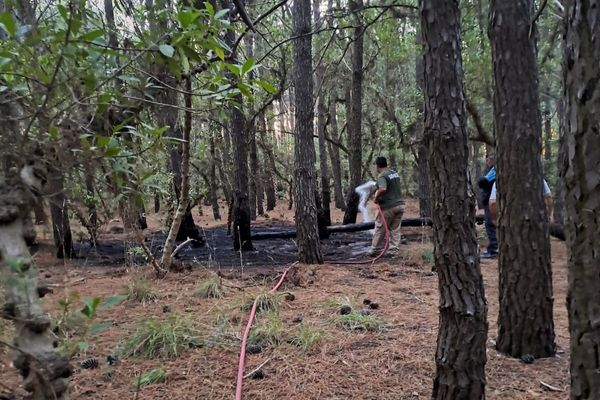 Principio de incendio en el Parque Miguel Lillo