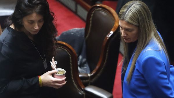 Desconcierto en el PRO por el apoyo de Milei a Putin y el enfrentamiento con Clarín