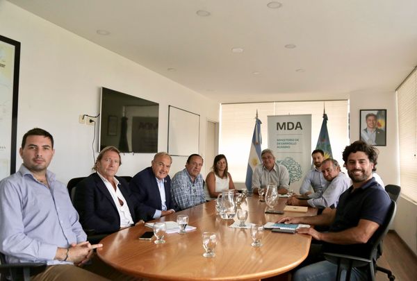 Noticias sobre el inmobiliario Rural bonaerense