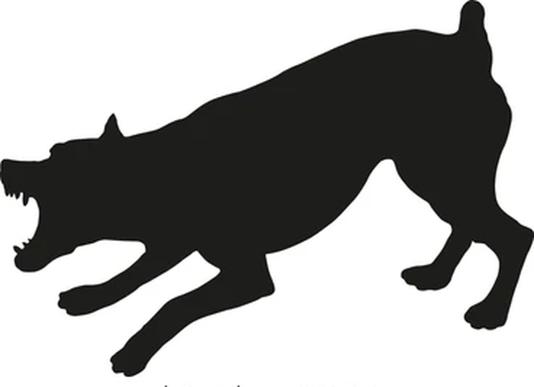 Terrible ataque de dos perros a sus dueños en Tres Arroyos
