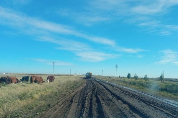 NECOCHEA: Caminos Rurales
