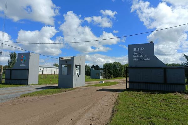 NECOCHEA: Se reacondiciona el predio del Sector Industrial Planificado