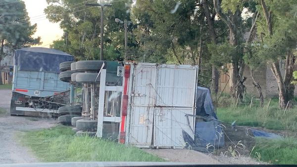 VUELCO: Un camión en Ruta 228