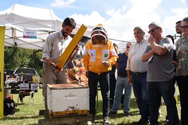 AGRO: Apoyo a la apicultura bonaerense