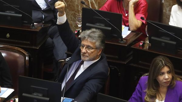 RUPTURA: Se quebró el bloque de senadores del PJ