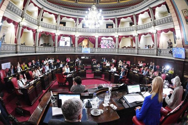 ELECCIONES 2025: Media sanción para suspender las PASO