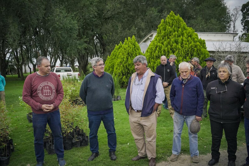 AGRO: Buenos Aires Impulsa la Producción Silvopastoril