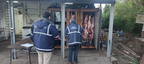 ABIGEATO: Importante operativo policial en Quequén