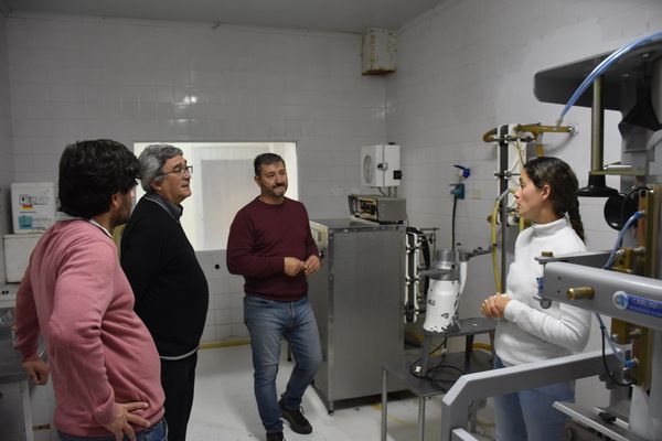AMEGHINO: Escuela agraria habilitada para producir quesos artesanales