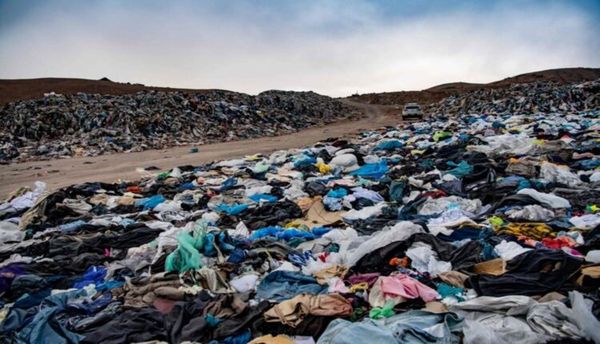 ECOLOGÍA: La cara oculta de la «fast fashion»