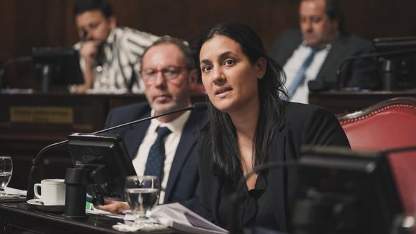 ELECCIONES 2025: Sin reelecciones