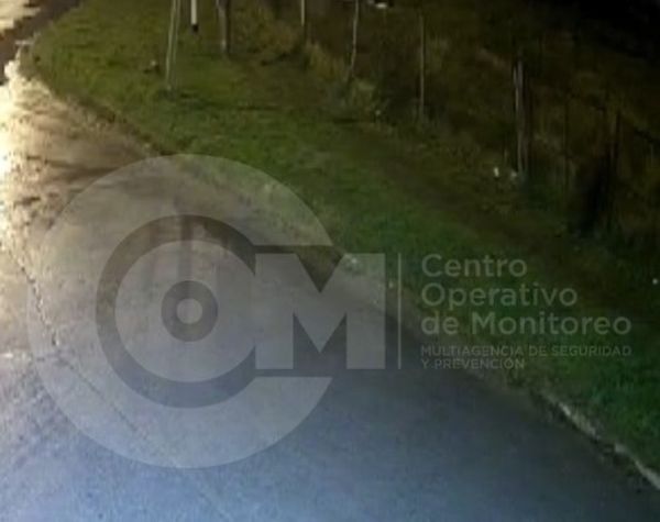 NECOCHEA: El COM y la Policía frustraron un robo