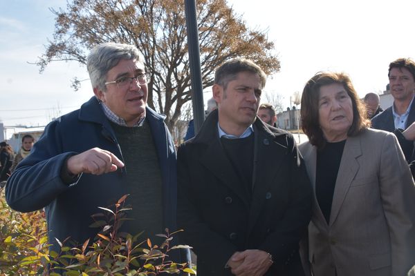 AGRO: Incentivo forestal 2025 bonaerense