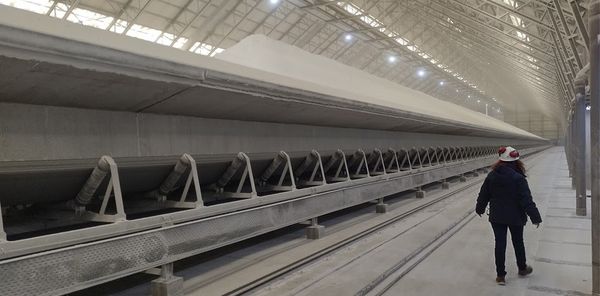 Resiliencia, capacidad de huir hacia adelante