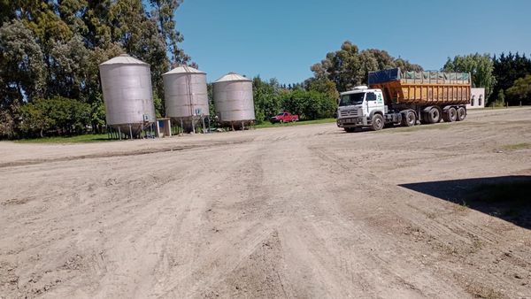 Control y Ordenamiento