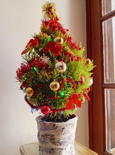 Fiestas de Navidad
