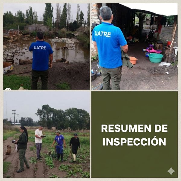 Operativos en Necochea y Quequén