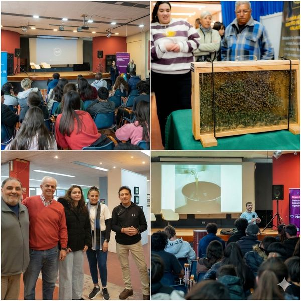 NECOCHEA: Expo Miel 2026