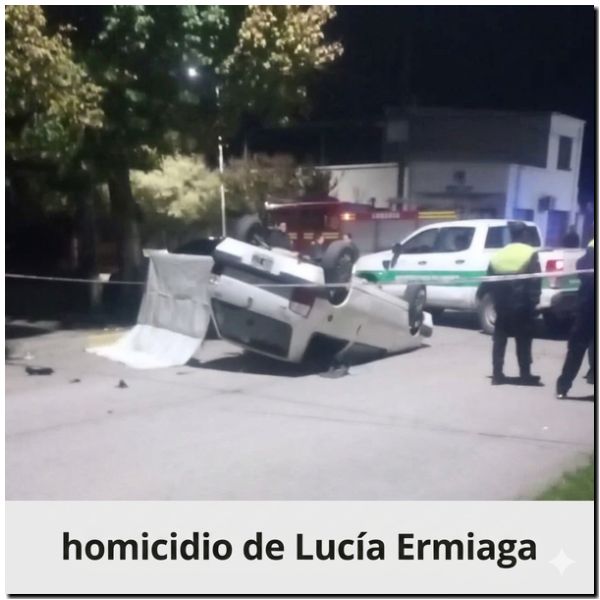 LOBERÍA: Caso Lucía Ermiaga