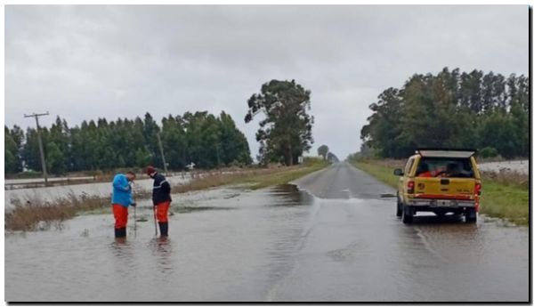 RUTA 228: Habilitada parcialmente