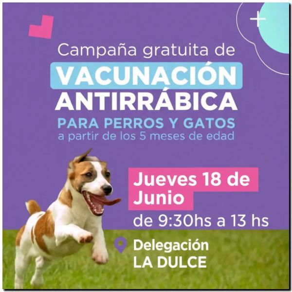 LA DULCE: Campaña gratuita de vacunación antirrábica